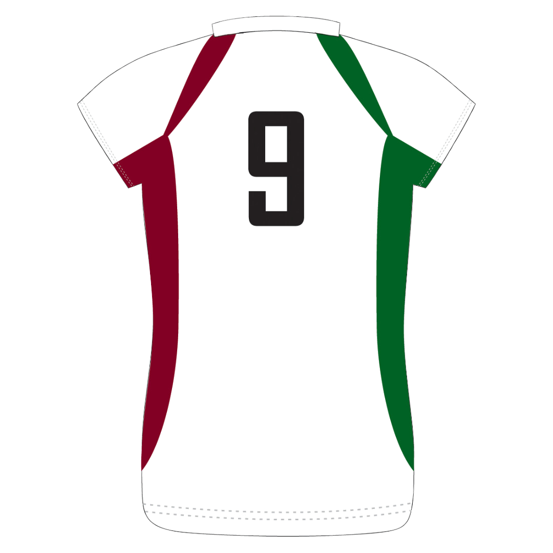 CTVHC Ladies Away Playing Shirt